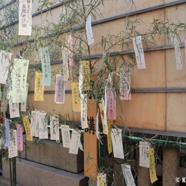 Tenmangu shrine in Osaka, Bamboo stalks and tanzaku paper slips for Tanabata festival