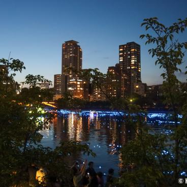 Amanogawa densetsu on Okawa River in Osaka 2