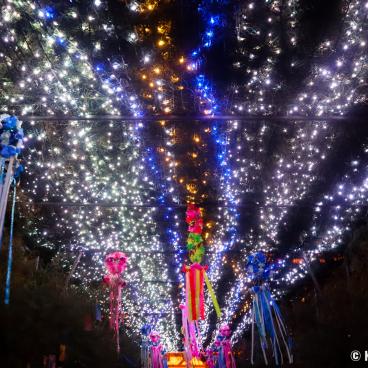 Tanabata no Yube festival in Osaka, Milky Way at Tenno-ji temple 2