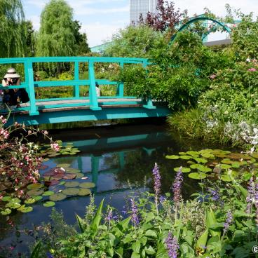 Seibu Ikebukuro Honten, Nymphaea garden on the 9th floor terrace 2