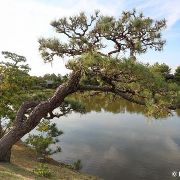 Yosui-en garden in Wakayama 5
