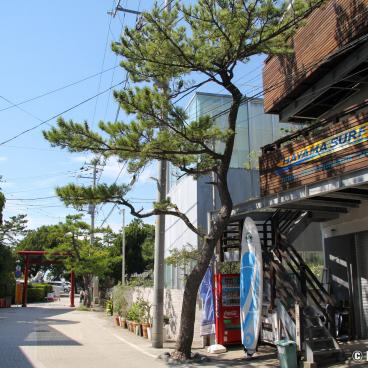Hayama, Surf club at the entrance of Morito-daimyojin shrine