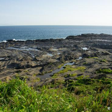 Jogashima (Miura), Rocky coastline on the southwestern side of the island 2