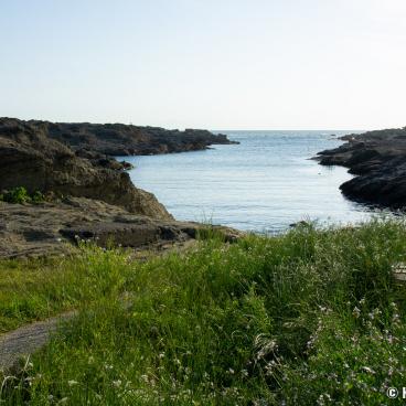 Jogashima (Miura), Rocky coastline on the southwestern side of the island 3