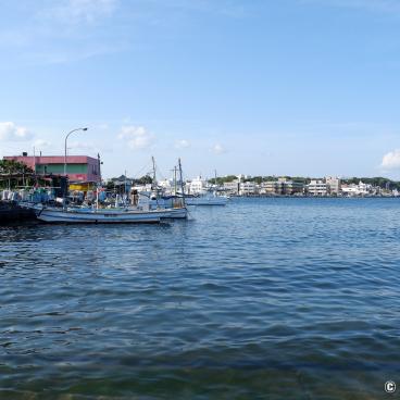 Jogashima (Miura), View on the pier and fishing boats