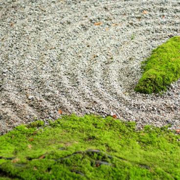 Dazaifu (Kyushu), Karesansui dry garden in Komyozen-ji temple 3