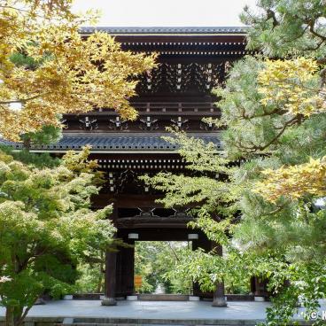 Konkai Komyo-ji, Sanmon Gate and green maple trees