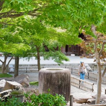 Konkai Komyo-ji, Access to the temple and green maple trees