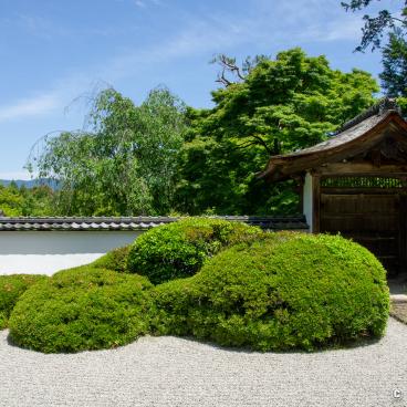 Shoden-ji (Kyoto), View on the dry garden 3