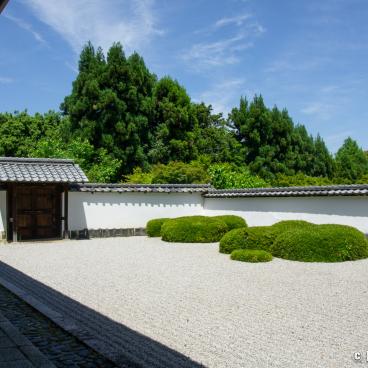 Shoden-ji (Kyoto), View on the dry garden 2