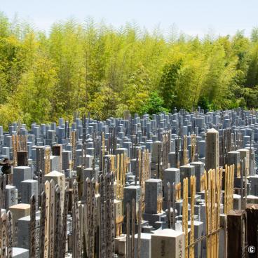Shoden-ji (Kyoto), Japanese graveyard and bamboo grove
