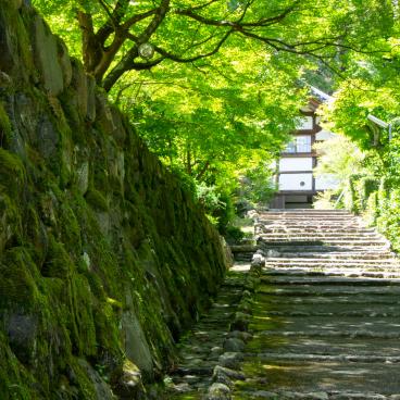 Shoden-ji (Kyoto), Path to the Kuri (administrative entrance of the temple)