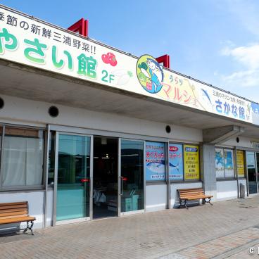 Miura, Urari covered market in Misaki Port