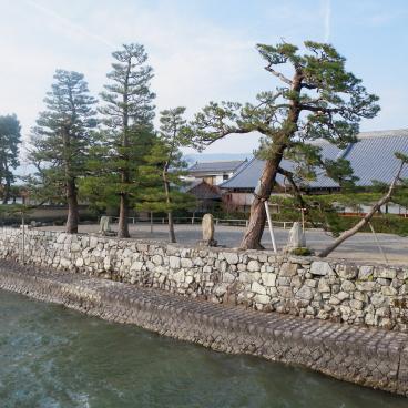 Mangetsu-ji in Otsu, Pines on the shore of Lake Biwa