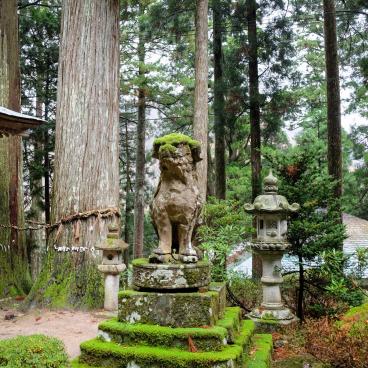 Sanbutsu-ji (Tottori), Statue and lantern covered in moss