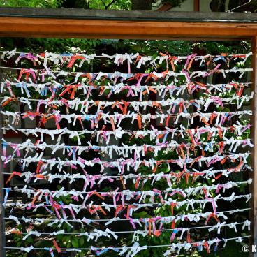 Tomioka Hachiman-gu (Tokyo), Discarded Omikuji predictions