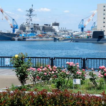 Yokosuka, Verny Park and view on the Japanese and American battleships