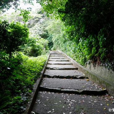 Yokosuka, Kannonzaki Park 2