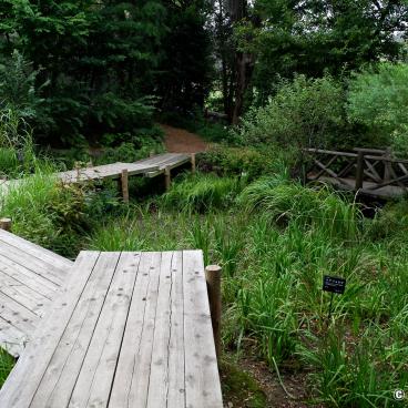 Akatsuka Botanical Garden (Narimasu, Tokyo), Man'yo medicinal garden