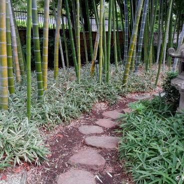 Akatsuka Botanical Garden (Narimasu, Tokyo), Japanese garden and bamboo grove