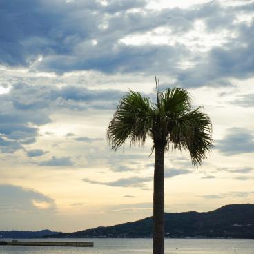 Seaside Momochi (Fukuoka), View on the beach at sunset 2