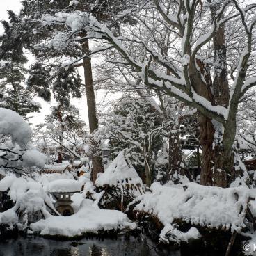 Hideyoshi Suzuki Sake Brewery (Akita), Garden under the snow