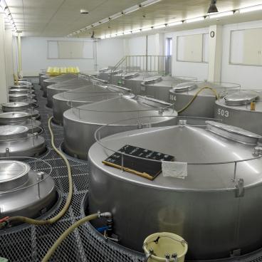 Kamotsuru Shuzo Sake Brewery (Saijo, Higashi-Hiroshima), Brewing House