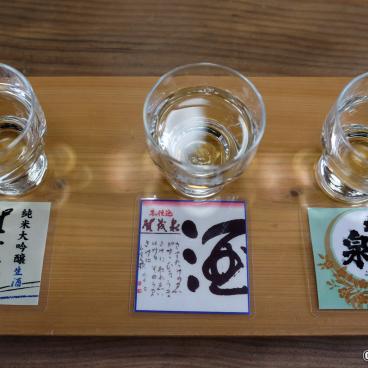 Kamotsuru Shuzo Sake Brewery (Saijo, Higashi-Hiroshima), Various sake for tasting