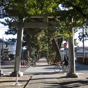 Miho no Matsubara (Shizuoka), Kami no Michi pedestrian walkway