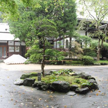 Myohon-ji (Kamakura), Vegetation of the temple