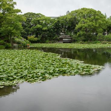 Shosei-en (Kyoto), View on the pond and an isolated pavilion