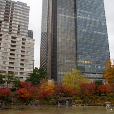 Tokyo Midtown (Akasaka), Hinokicho Park in autumn