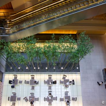 Tokyo Midtown (Akasaka), Artwork Forest of the village guardian by Eriko Horiki inside Galleria 