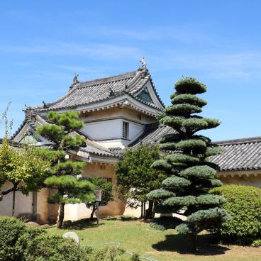 Wakayama Castle, Fortified walls