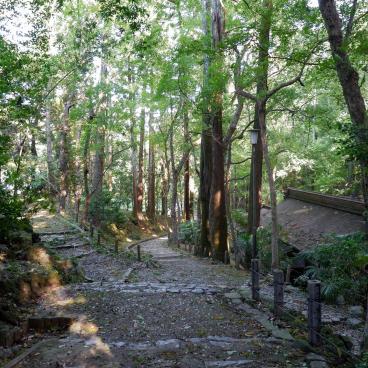 Narita-san Park, Walking path under the trees