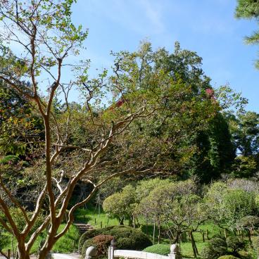 Narita-san Park, Little Japanese bridge crossing the pond