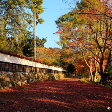 Oku Aizu (Yanaizu), Enzo-ji temple's maple trees in autumn
