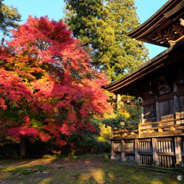 Oku Aizu (Yanaizu), Pavilion Enzo-ji temple and red maple tree in autumn