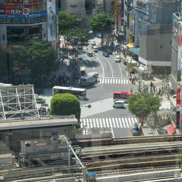 Shibuya Hikarie, View on Shibuya Crossing
