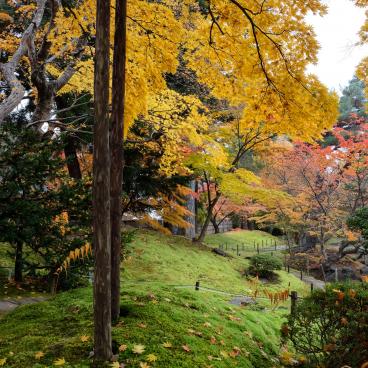 Aizu-Wakamatsu, Oyakuen garden in autumn