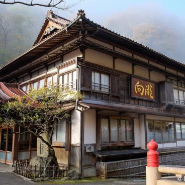 Higashiyama Onsen Mukaitaki ryokan traditional inn