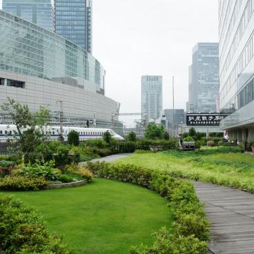 Kotsu Kaikan Coline (Tokyo), View on the wooded terrace