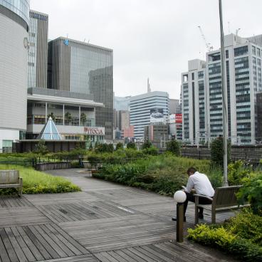 Kotsu Kaikan Coline (Tokyo), View on the wooded terrace 2