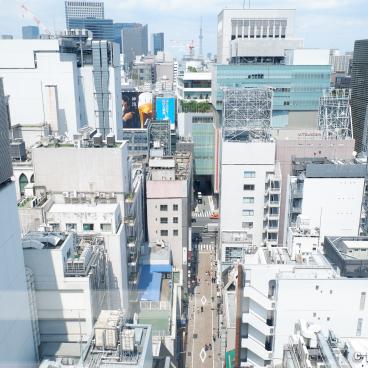 Ginza Six Garden, North-western side of the observatory and view on Tokyo SkyTree