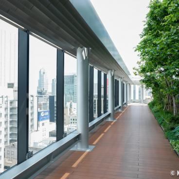 Ginza Six Garden, Garden and rooftop observatory 2