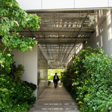 Ginza Six Garden, Alley of the garden on the rooftop