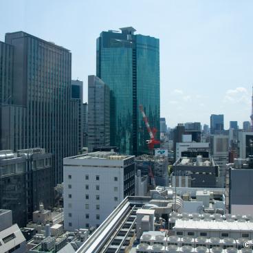 Ginza Six Garden, South-western side of the observatory and view on the Tokyo Tower