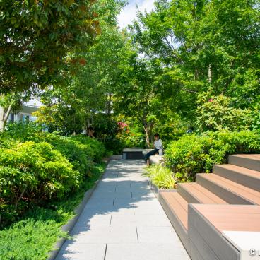 Ginza Six Garden, Alley of the garden on the rooftop 2