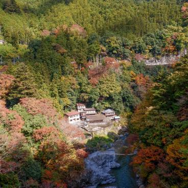 Hatonosu Valley in autumn (Okutama) 3