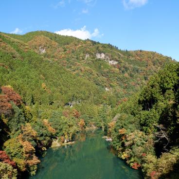 Hatonosu Valley in autumn (Okutama) 4